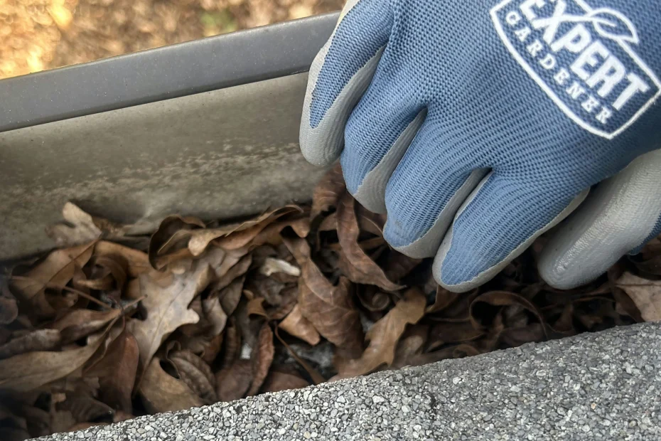 Gutter Cleaning Vinton VA