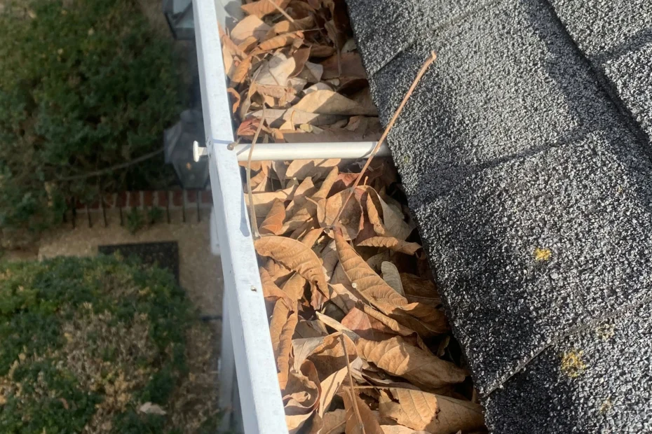 Gutter Cleaning Vinton VA