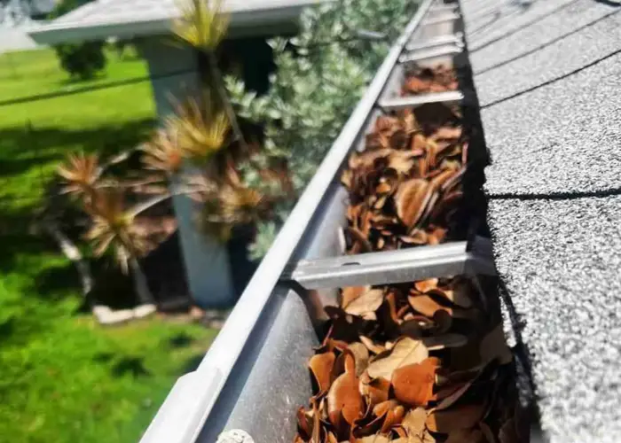 Gutter Cleaning Vinton VA home page